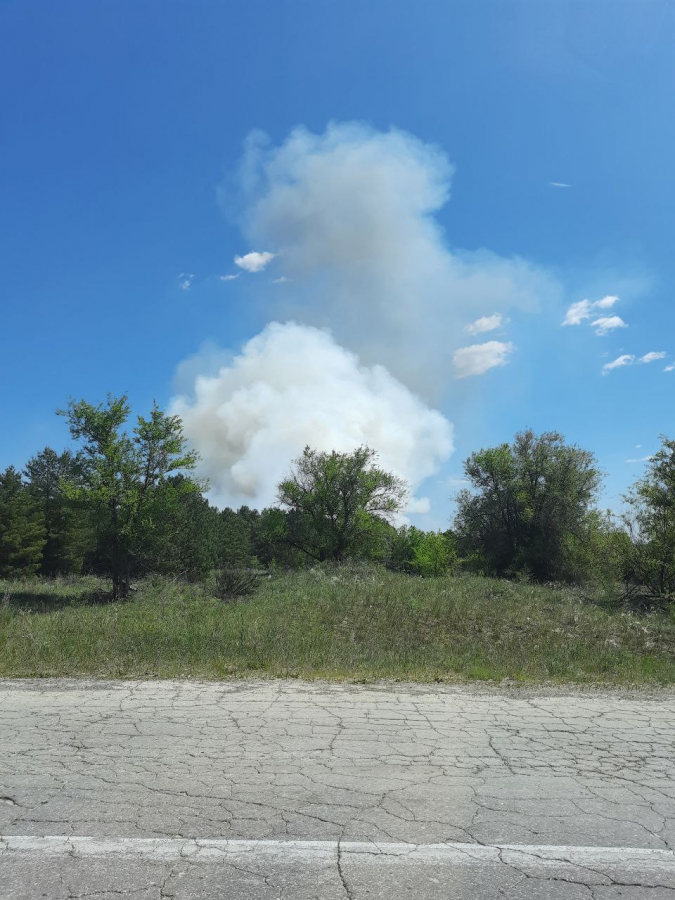 В Воскресенском районе горел лес с вековыми соснами