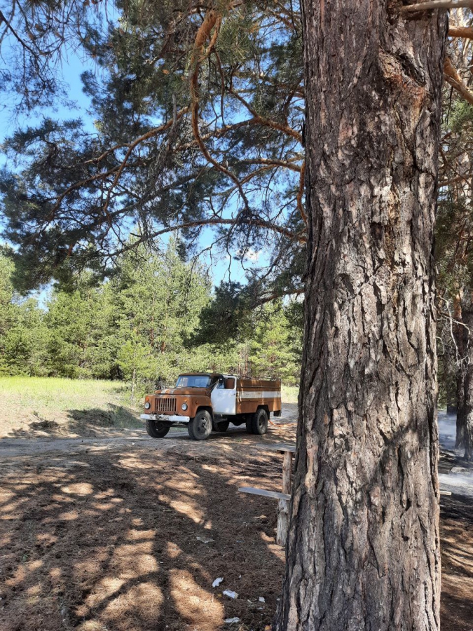 В Воскресенском районе горел лес с вековыми соснами