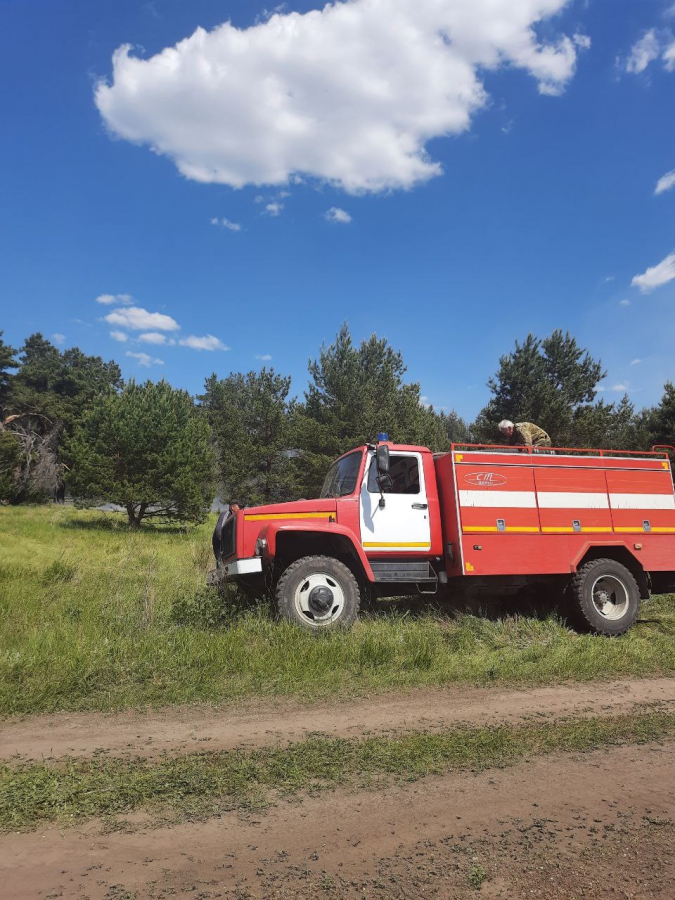 В Воскресенском районе горел лес с вековыми соснами