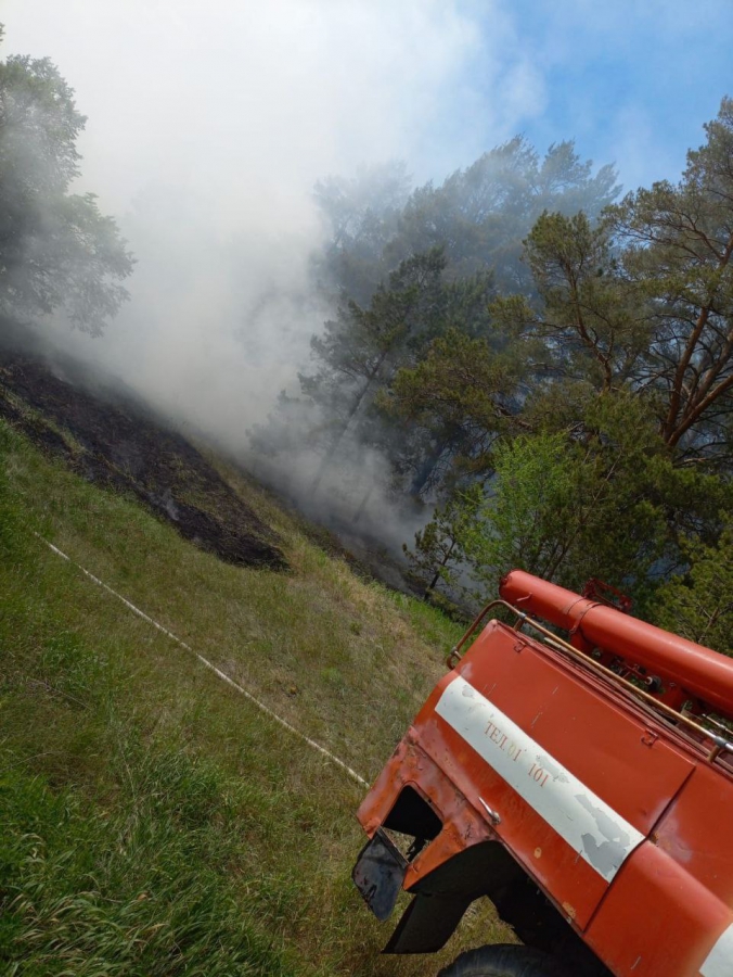 В Воскресенском районе горел лес с вековыми соснами