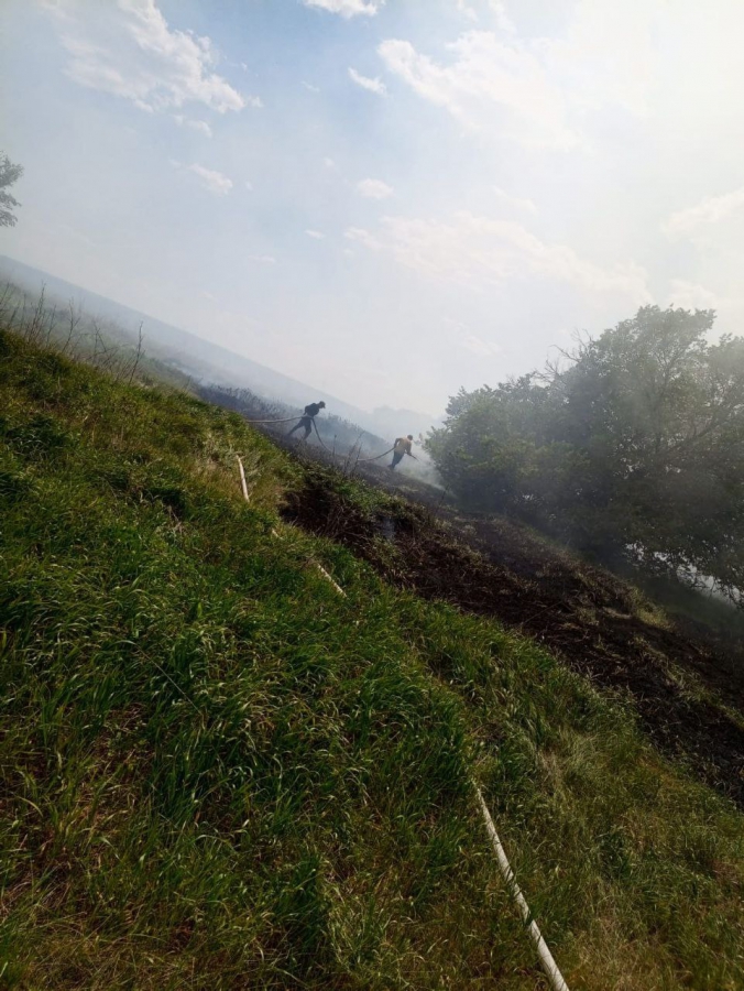 В Воскресенском районе горел лес с вековыми соснами