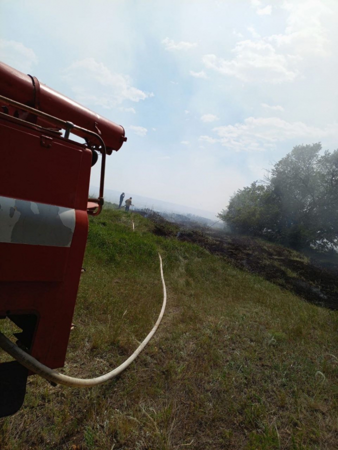 В Воскресенском районе горел лес с вековыми соснами