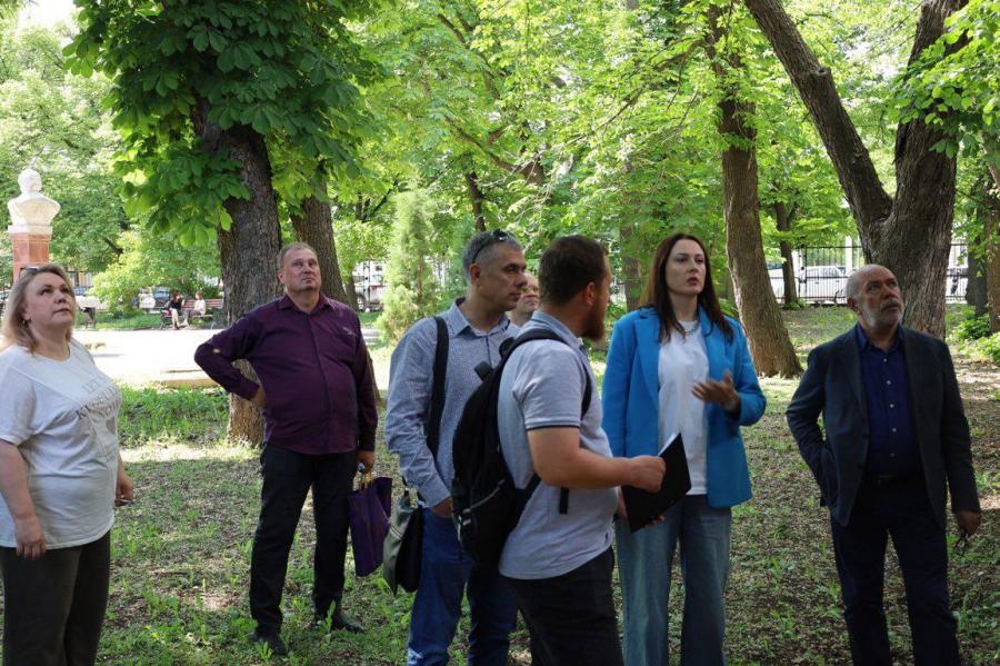 Саратовцы пожаловались на опасность падения веток на стадионе у Липок