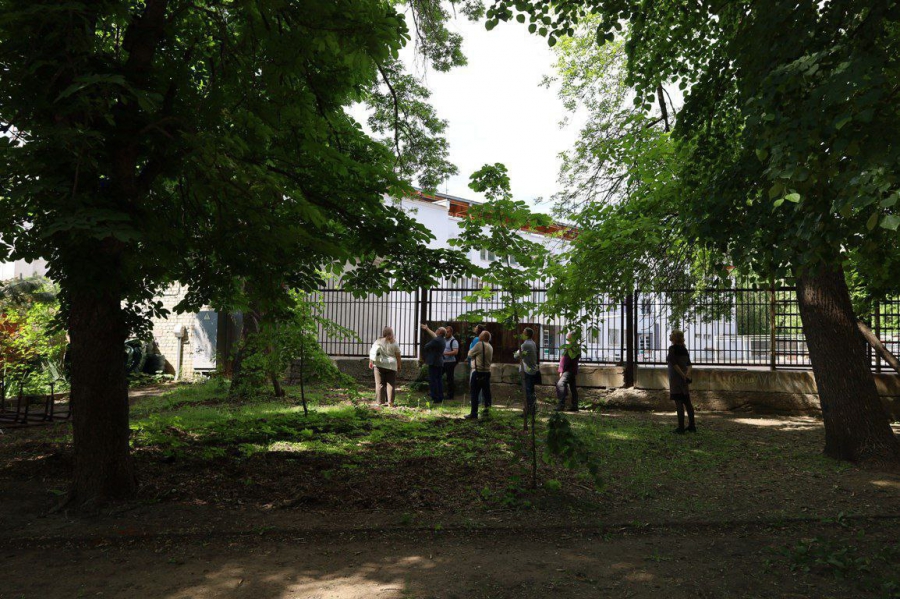 Саратовцы пожаловались на опасность падения веток на стадионе у Липок