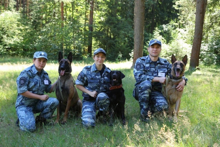 Полицейский-кинолог с собакой Адель из Саратова стала одной из лучших в России