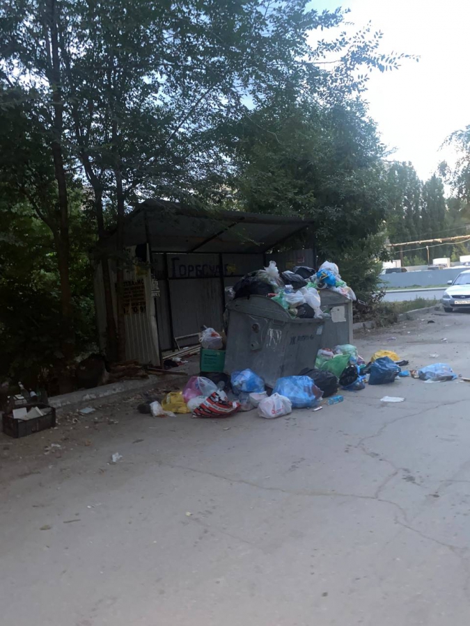 Саратовцы жалуются на свалки в центре города: «Жара, антисанитария, вонь!»