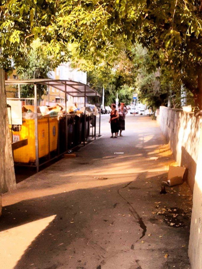 Саратовцы жалуются на свалки в центре города: «Жара, антисанитария, вонь!»