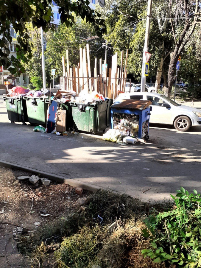 Саратовцы жалуются на свалки в центре города: «Жара, антисанитария, вонь!»