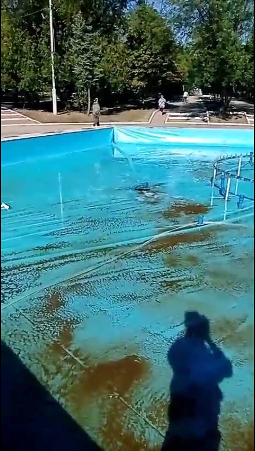 Фонтан в сквере Победы неправильно используют: моют животных, купаются, ломают