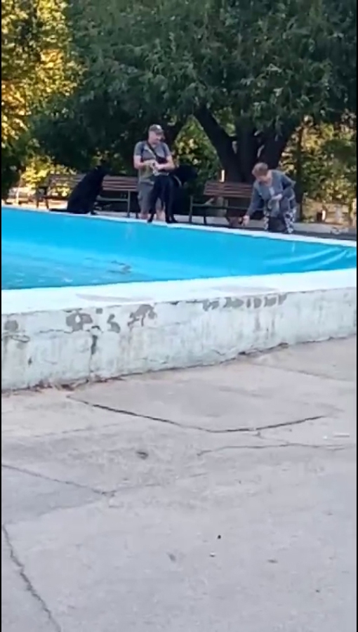 Фонтан в сквере Победы неправильно используют: моют животных, купаются, ломают