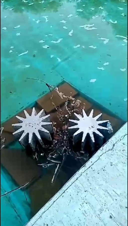 Фонтан в сквере Победы неправильно используют: моют животных, купаются, ломают