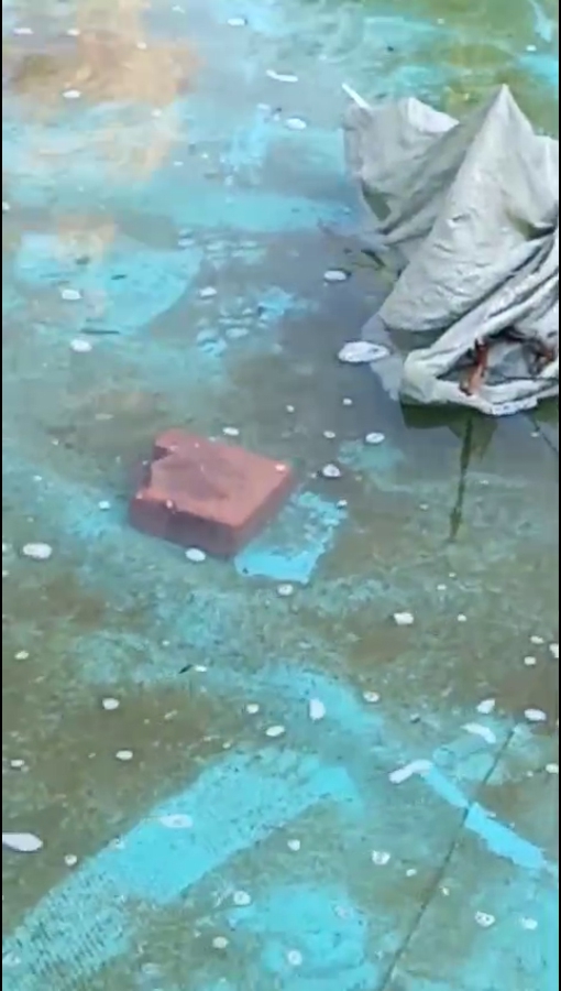 Фонтан в сквере Победы неправильно используют: моют животных, купаются, ломают