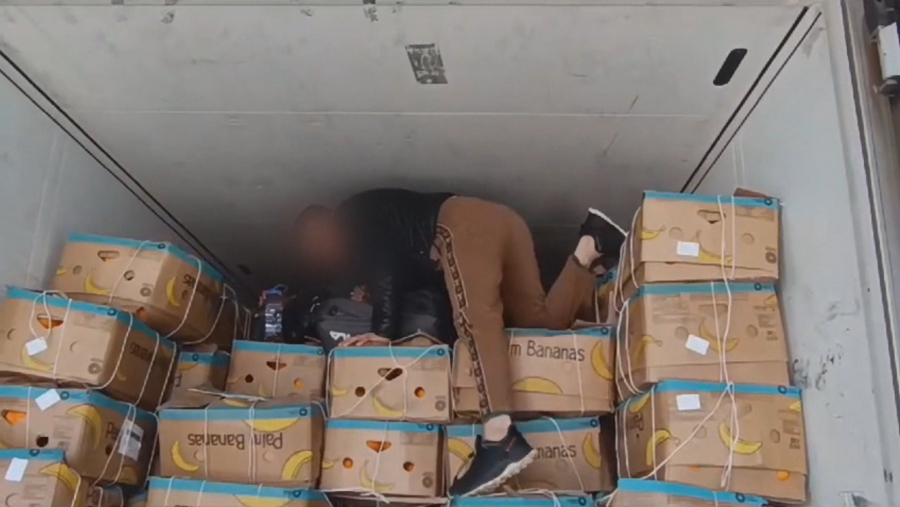 В Саратовскую область не пустили фуру с дынями и мигрантами-нелегалами