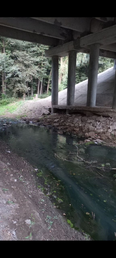 Канализационные стоки из Светлого загрязняют Волгу и земли Саратова