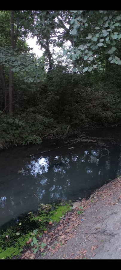 Канализационные стоки из Светлого загрязняют Волгу и земли Саратова