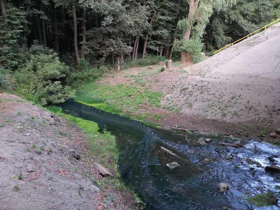 Канализационные стоки из Светлого загрязняют Волгу и земли Саратова