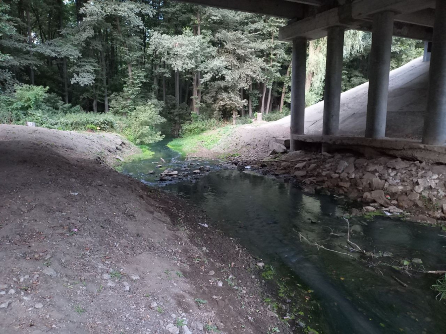 Канализационные стоки из Светлого загрязняют Волгу и земли Саратова