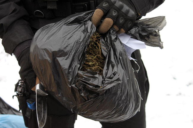 В Саратове уничтожили крупную партию наркотиков