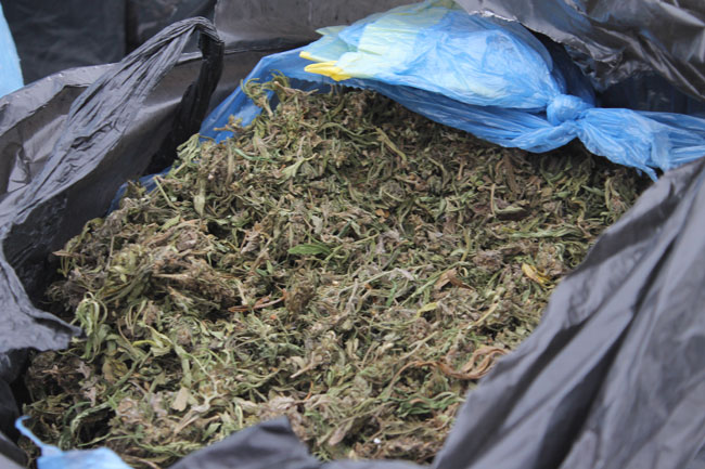 В Саратове уничтожили крупную партию наркотиков