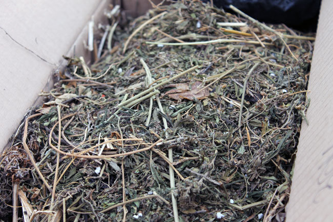 В Саратове уничтожили крупную партию наркотиков