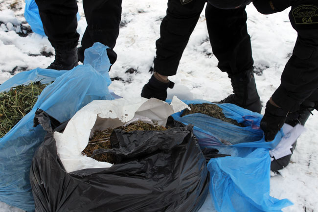 В Саратове уничтожили крупную партию наркотиков