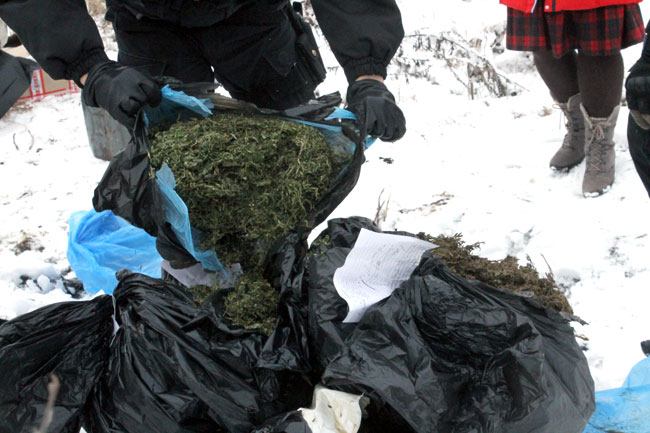 В Саратове уничтожили крупную партию наркотиков