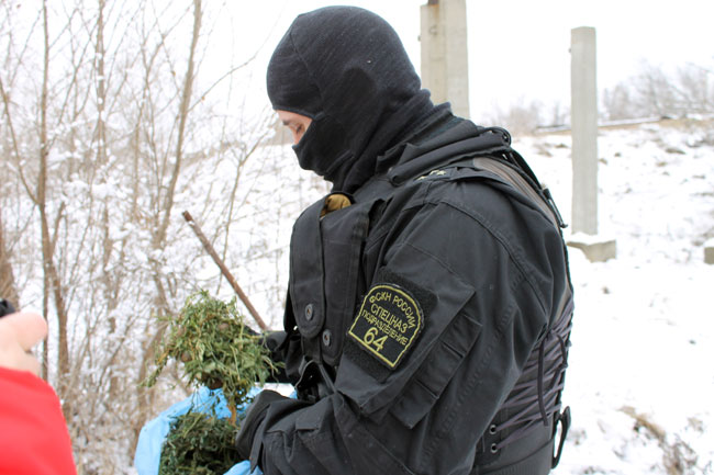 В Саратове уничтожили крупную партию наркотиков