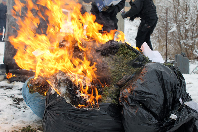 В Саратове уничтожили крупную партию наркотиков