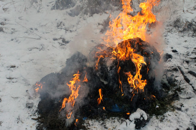 В Саратове уничтожили крупную партию наркотиков