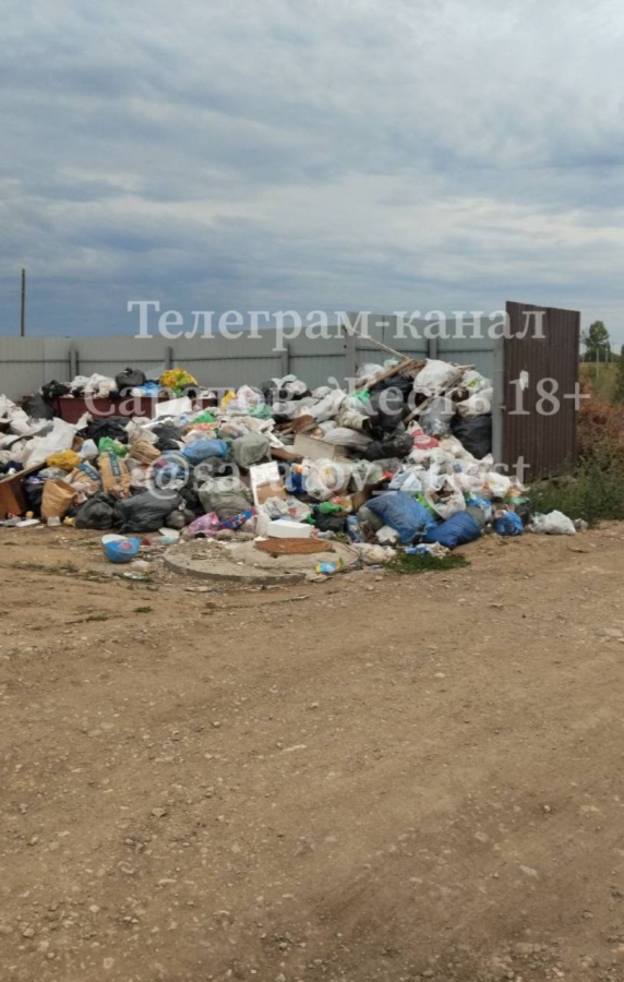 Саратовцы продолжают жаловаться на мусор: Даже контейнеров не видно под завалами