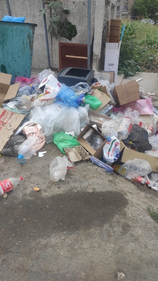 Саратовцы продолжают жаловаться на мусор: Даже контейнеров не видно под завалами