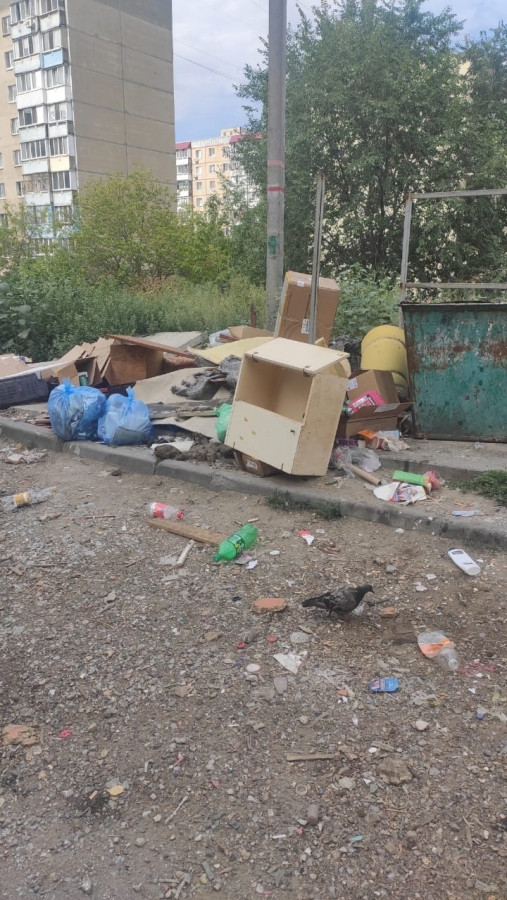 Саратовцы продолжают жаловаться на мусор: Даже контейнеров не видно под завалами
