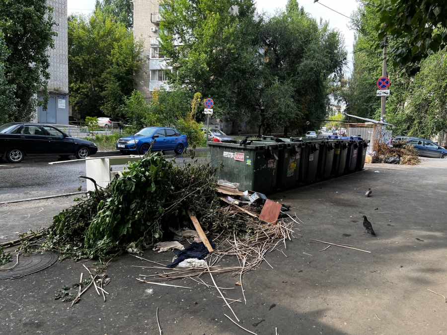 Саратовцы продолжают жаловаться на мусор: Даже контейнеров не видно под завалами