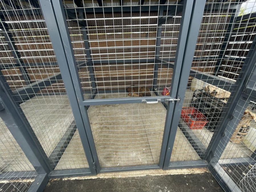 В Саратове прокуратура выявила нарушения в пункте временного содержания собак