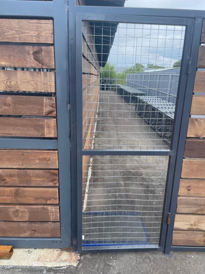 В Саратове прокуратура выявила нарушения в пункте временного содержания собак