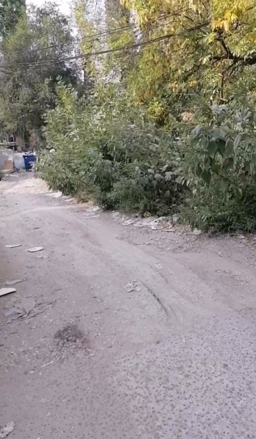 Глава Заводского района обратится в прокуратуру из-за бездействия УК «Столица»