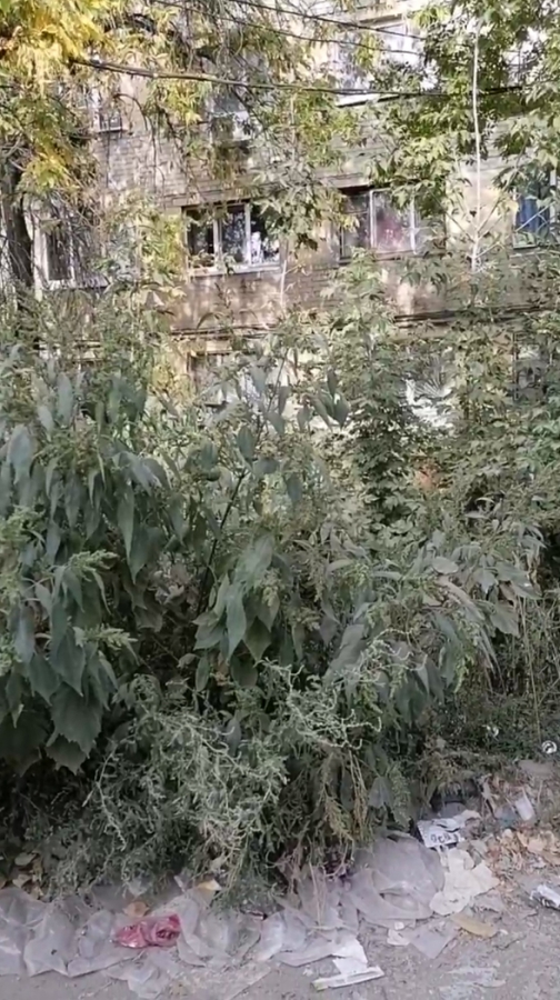 Глава Заводского района обратится в прокуратуру из-за бездействия УК «Столица»