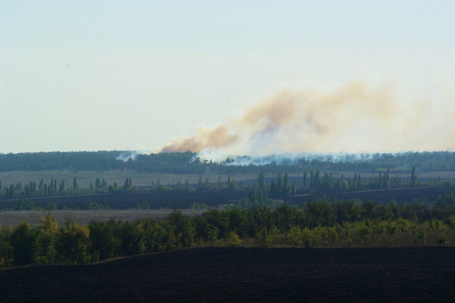 В Гагаринском районе несколько дней тушили природный пожар на землях Минобороны