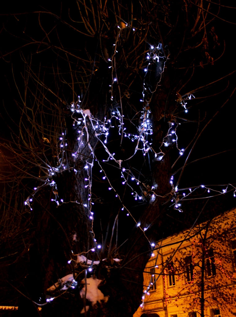 Улицы Саратова и Энгельса готовятся встретить Новый год