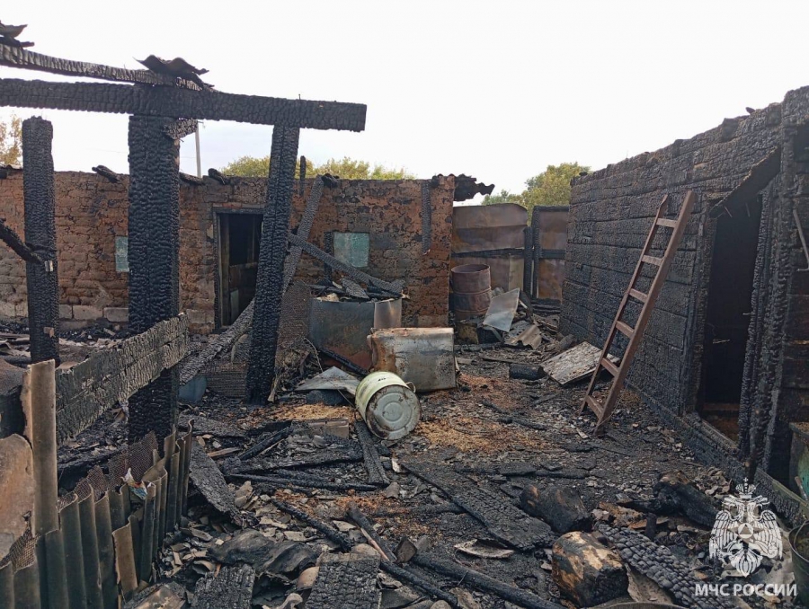 В Пугачевском районе из-за пожара в сарае погибли свиньи и куры