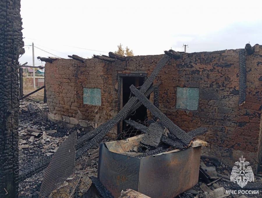 В Пугачевском районе из-за пожара в сарае погибли свиньи и куры