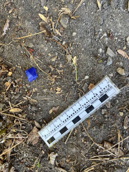 В Саратове трех человек поймали при попытке сбыта наркотиков. Возбуждено 58 дел