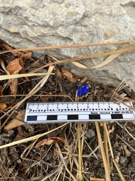 В Саратове трех человек поймали при попытке сбыта наркотиков. Возбуждено 58 дел