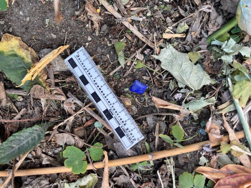 В Саратове трех человек поймали при попытке сбыта наркотиков. Возбуждено 58 дел