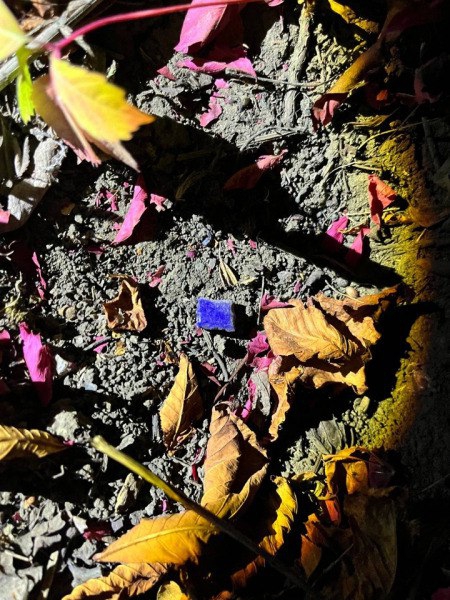 В Саратове трех человек поймали при попытке сбыта наркотиков. Возбуждено 58 дел