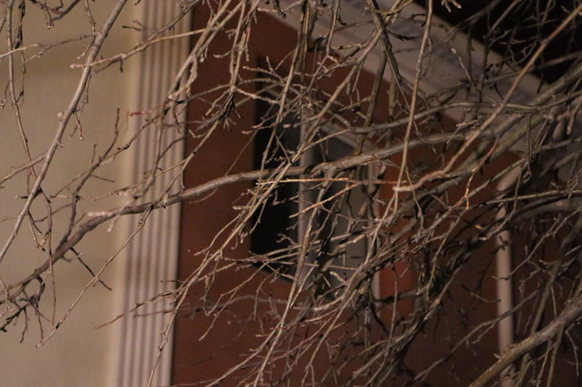 Приставы расклеили объявления о принудительном выселении из таунхаусов