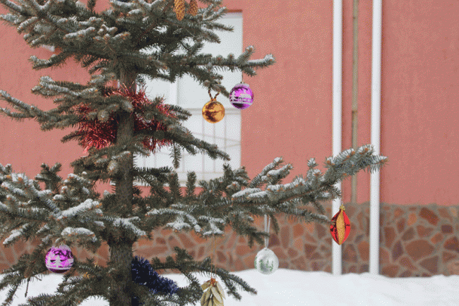 Из таунхаусов выселяют 10-дневного новорожденного