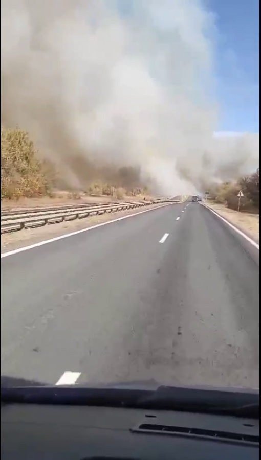 Вблизи Лысогорской птицефабрики вспыхнули посадки