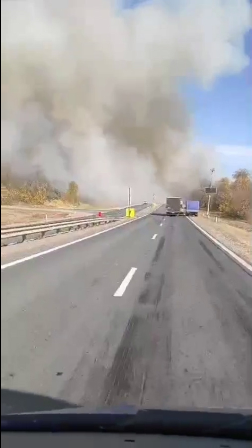 Вблизи Лысогорской птицефабрики вспыхнули посадки