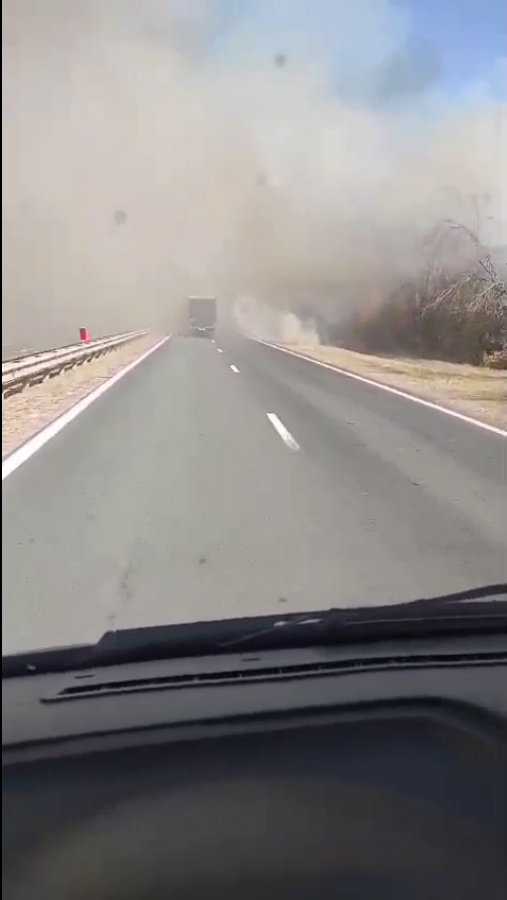 Вблизи Лысогорской птицефабрики вспыхнули посадки